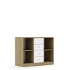 Lentynų spinta BLOX Base 110 2PP 4SS 1049x466x813 ąžuolo korpusas / 4x baltas stalčius BOX-2PP-3R-4SS-OW