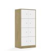 Spinta BLOX Base 70 4PP 8F1 706x466x1517 ąžuolo korpusas / 8x baltas fasadas BOX-4PP-2R-8F1-OW
