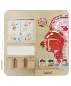 MASTERKIDZ Montessori uoslės ugdymo taryba